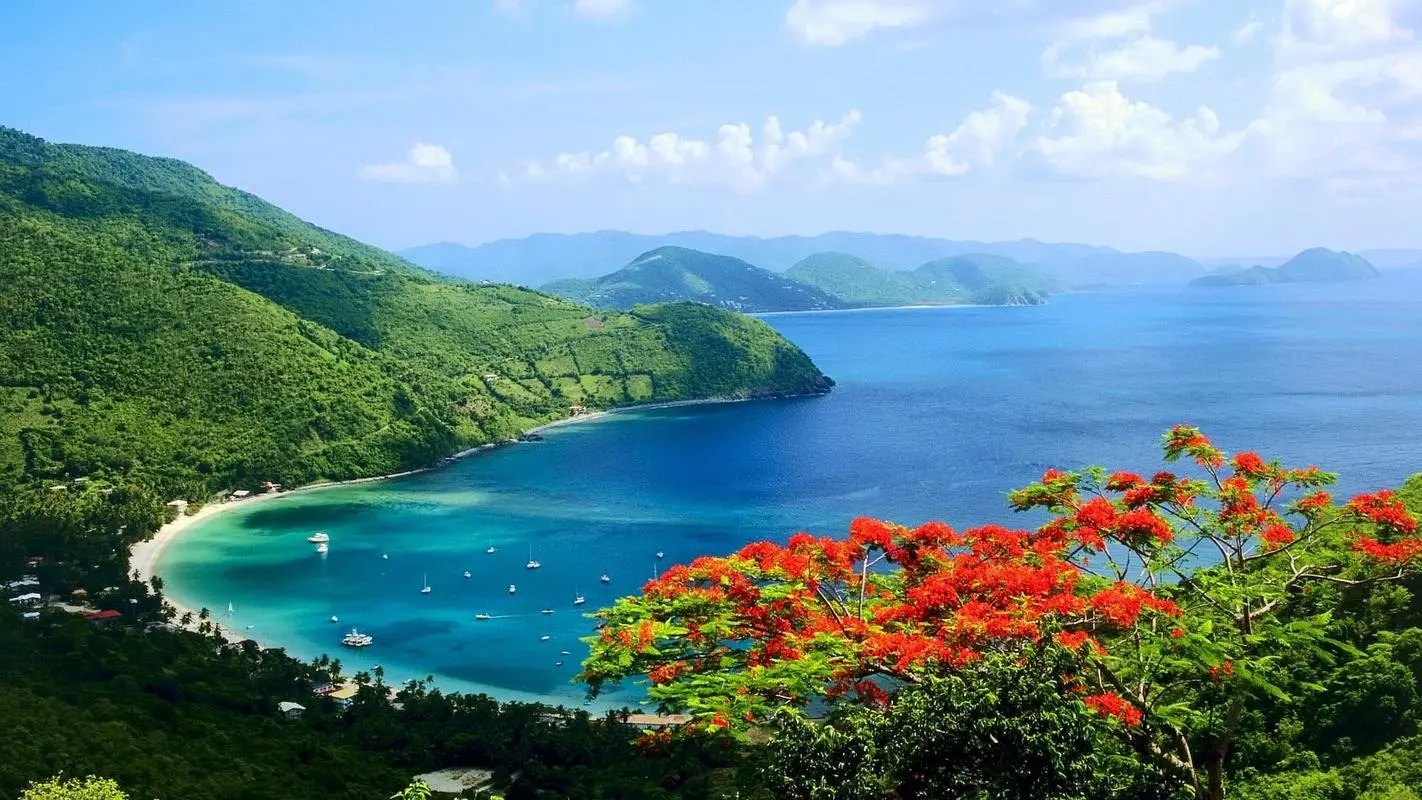 高端先进全自动